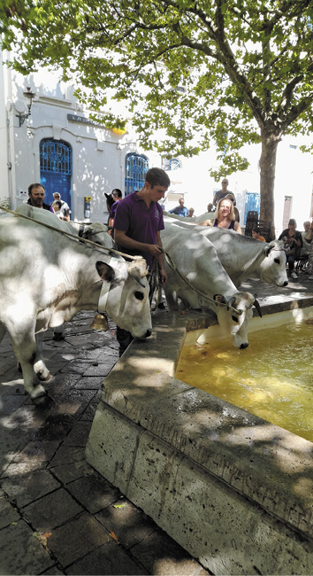 Fontaine Ax 2024