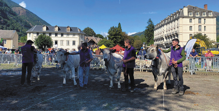 Luchon Presentation 2024