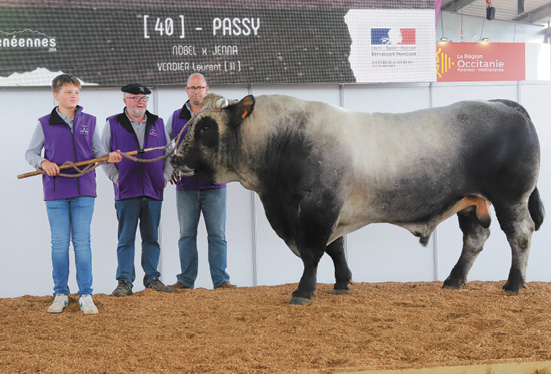 Prix Champion Male