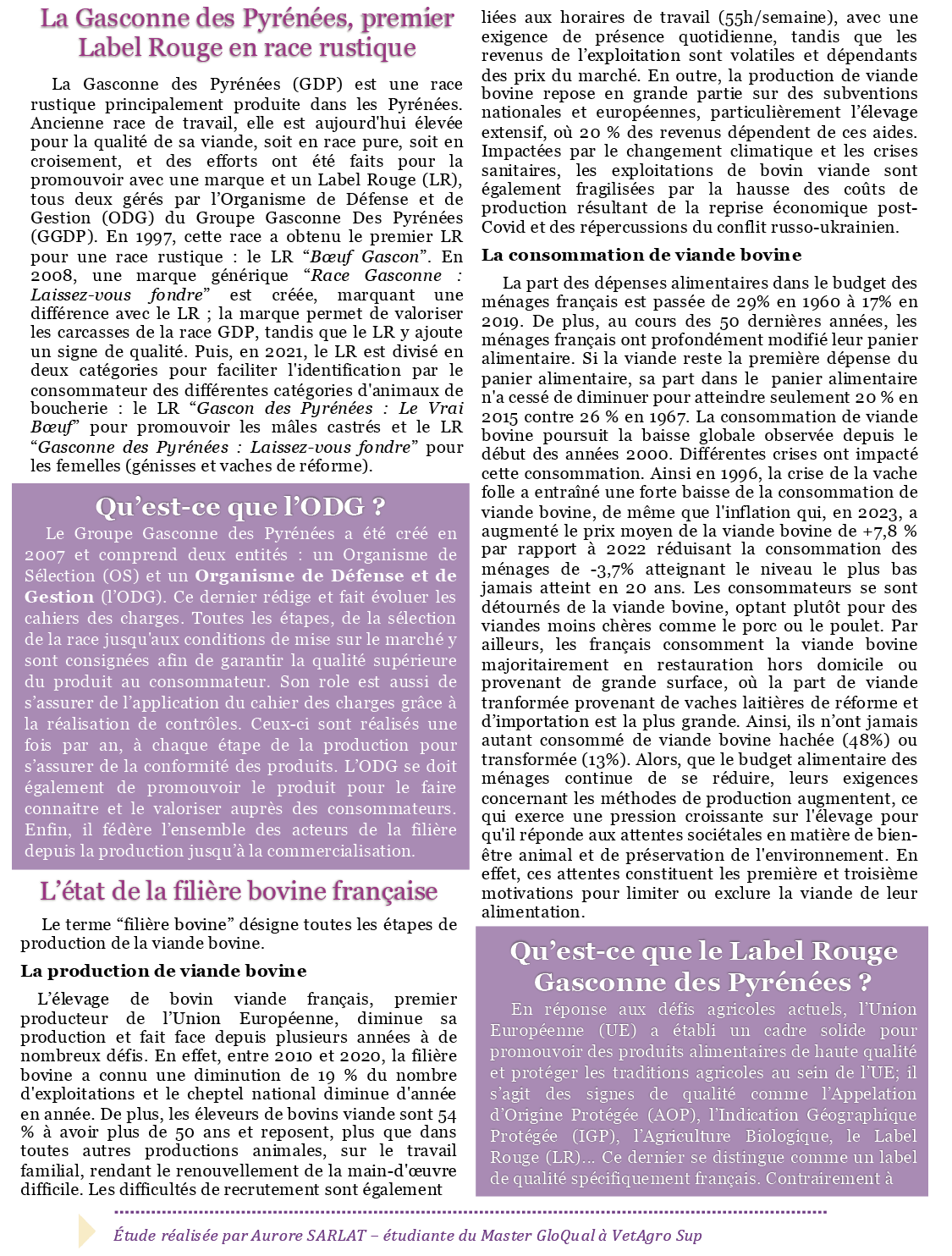 Stage Aurore GDP Mag' 
