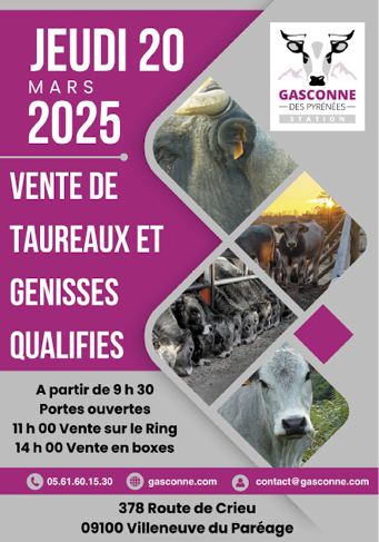 AFFICHE VENTE 2025 fond gris