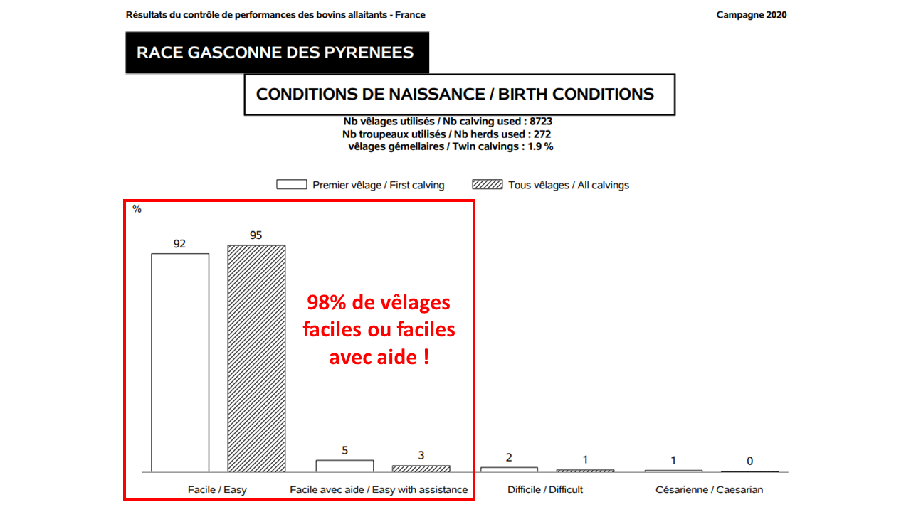 Représentation graphique des conditions de naissance au sein de la race Gasconne des Pyrénées au cours de la campagne 2020. 98% de vêlages faciles ou faciles avec aide !