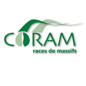 Logo officiel du CORAM.